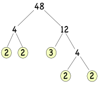 Prime factor tree for 48
