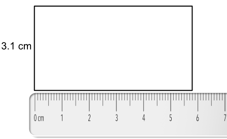 5 cm on a ruler